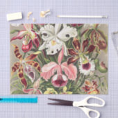 Orchideeën, Orchideae Denusblumen, door Ernst Haec Tissuepapier (Craft)