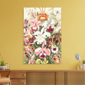Orchideeën, Orchideae Denusblumen door Ernst Haeck Canvas Afdruk (Insitu (Woonkamer))