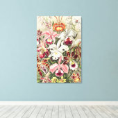 Orchideeën, Orchideae Denusblumen door Ernst Haeck Canvas Afdruk (Insitu (Houten vloer))