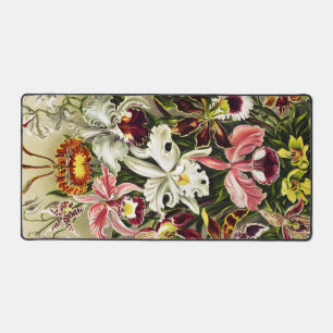 Orchideeën, Orchideae Denusblumen Ernst Haeckel Bureaumat