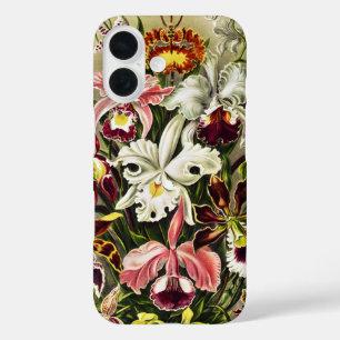Orchideeën, Orchideae Denusblumen Ernst Haeckel iPhone 16 Hoesje