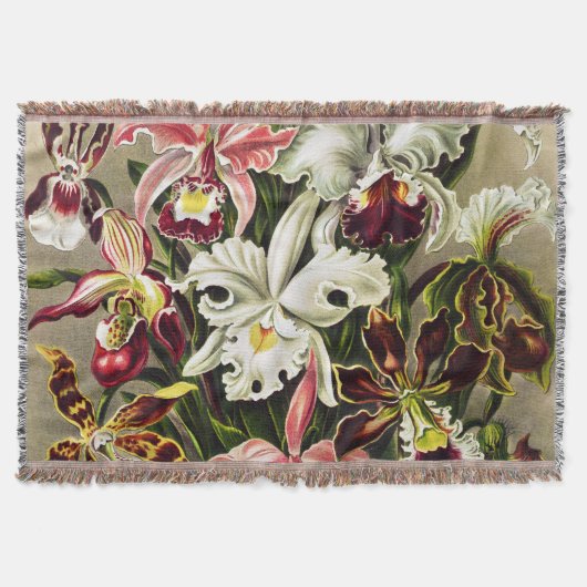 Orchideeën, Orchideae Denusblumen Ernst Haeckel Deken (Voorkant)