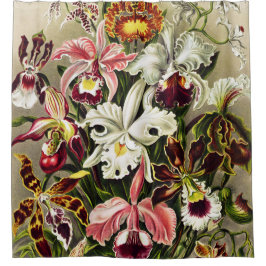 Orchideeën, Orchideae Denusblumen Ernst Haeckel Douchegordijn
