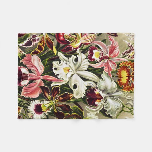 Orchideeën, Orchideae Denusblumen Ernst Haeckel Fleece Deken (Voorkant (Horizontaal))