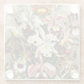 Orchideeën, Orchideae Denusblumen Ernst Haeckel Glazen Onderzetter (Achterkant)