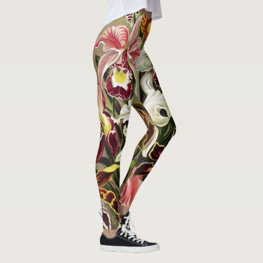 Orchideeën, Orchideae Denusblumen Ernst Haeckel Leggings (Rechts)