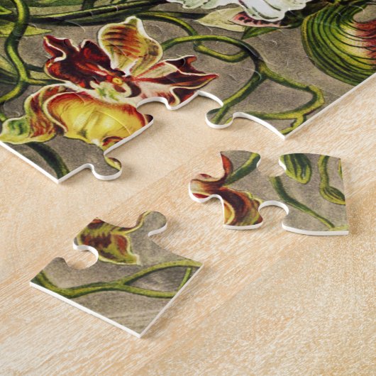 Orchideeën, Orchideae Denusblumen Ernst Haeckel Legpuzzel (Zijkant)