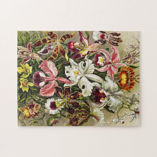 Orchideeën, Orchideae Denusblumen Ernst Haeckel Legpuzzel (Horizontaal)