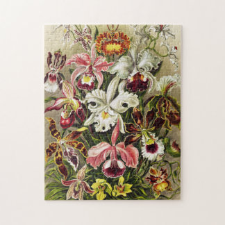 Orchideeën, Orchideae Denusblumen Ernst Haeckel Legpuzzel