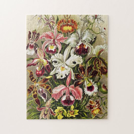 Orchideeën, Orchideae Denusblumen Ernst Haeckel Legpuzzel (Verticaal)