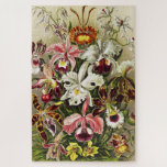 Orchideeën, Orchideae Denusblumen Ernst Haeckel Legpuzzel<br><div class="desc">Orchids,  Orchideae Denusblumen Ernst Haeckel uit Kunstformen der Natur (1904) Briefkaart.   mooie,  kleurrijke,  donkerrode,  roze maroon witte bloemen illustratie</div>
