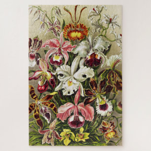 Orchideeën, Orchideae Denusblumen Ernst Haeckel Legpuzzel