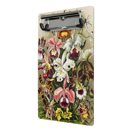 Orchideeën, Orchideae Denusblumen Ernst Haeckel Mini Klembord (Angled2)