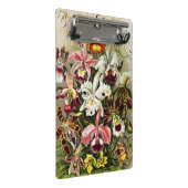 Orchideeën, Orchideae Denusblumen Ernst Haeckel Mini Klembord (Schuin)