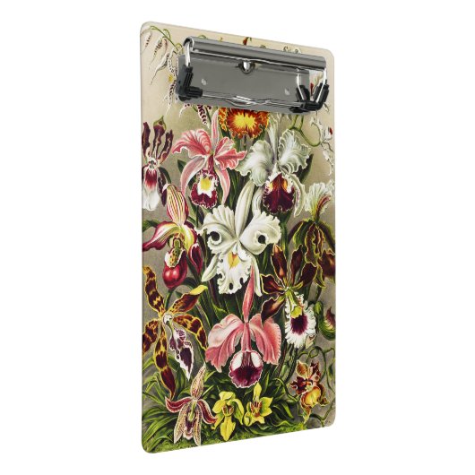 Orchideeën, Orchideae Denusblumen Ernst Haeckel Mini Klembord (Schuin)