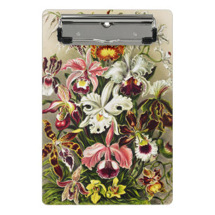 Orchideeën, Orchideae Denusblumen Ernst Haeckel Mini Klembord