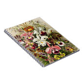 Orchideeën, Orchideae Denusblumen Ernst Haeckel Notitieboek (Rechterzijde)