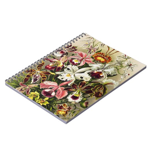 Orchideeën, Orchideae Denusblumen Ernst Haeckel Notitieboek (Linkerzijde)