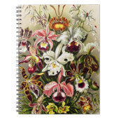 Orchideeën, Orchideae Denusblumen Ernst Haeckel Notitieboek (Voorkant)