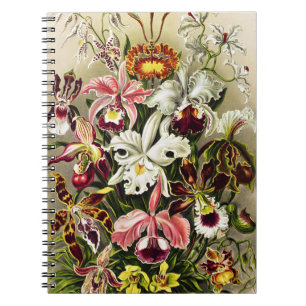 Orchideeën, Orchideae Denusblumen Ernst Haeckel Notitieboek