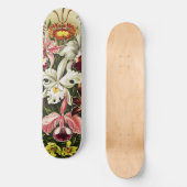 Orchideeën, Orchideae Denusblumen Ernst Haeckel Persoonlijk Skateboard (Voorkant)