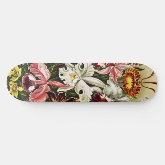 Orchideeën, Orchideae Denusblumen Ernst Haeckel Persoonlijk Skateboard (Horizontaal)
