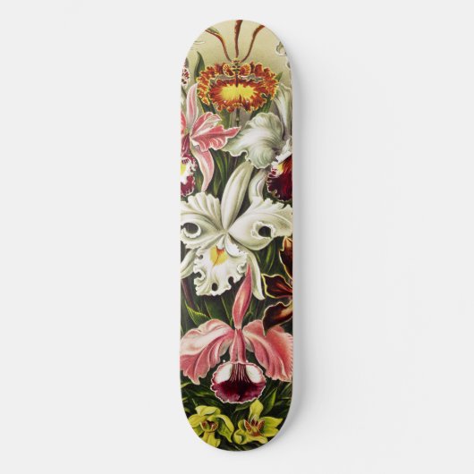 Orchideeën, Orchideae Denusblumen Ernst Haeckel Persoonlijk Skateboard (Voorkant)
