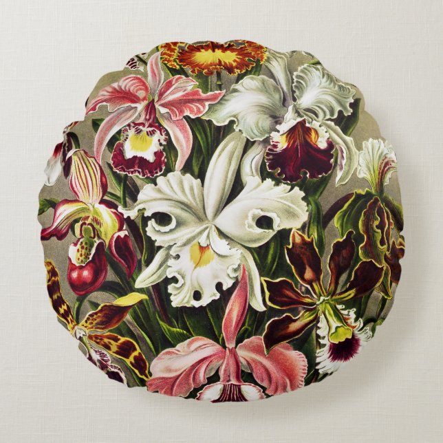 Orchideeën, Orchideae Denusblumen Ernst Haeckel Rond Kussen (Voorkant)