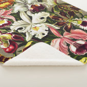 Orchideeën, Orchideae Denusblumen Ernst Haeckel Sherpa Deken (3/4)