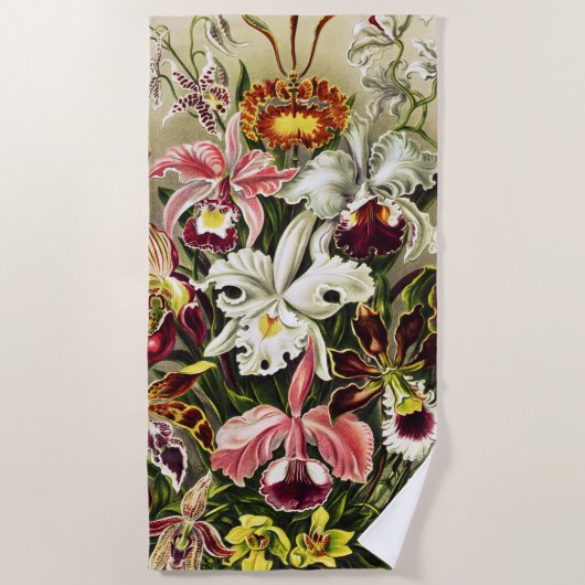 Orchideeën, Orchideae Denusblumen Ernst Haeckel Strandlaken (Voorkant)