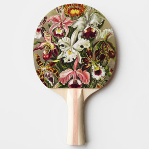 Orchideeën, Orchideae Denusblumen Ernst Haeckel Tafeltennisbatje