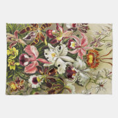 Orchideeën, Orchideae Denusblumen Ernst Haeckel Theedoek (Horizontaal)