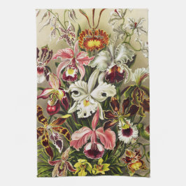 Orchideeën, Orchideae Denusblumen Ernst Haeckel  Theedoek