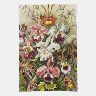 Orchideeën, Orchideae Denusblumen Ernst Haeckel  Theedoek