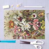 Orchideeën, Orchideae Denusblumen Ernst Haeckel Tissuepapier (Craft)