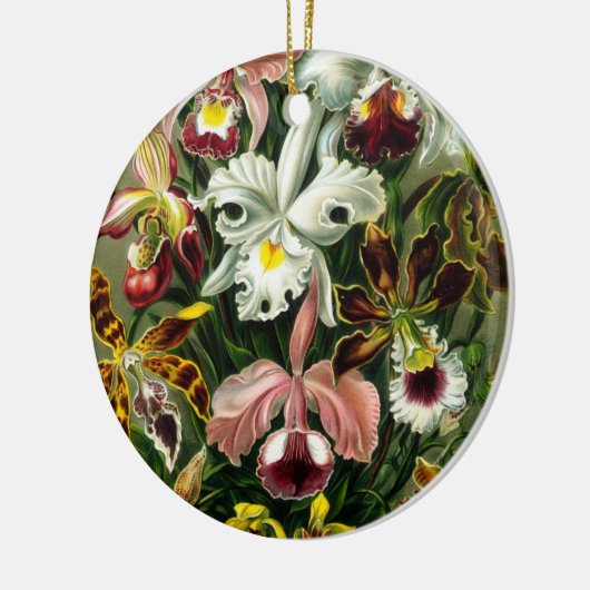 Orchideeën Ornament (Links)