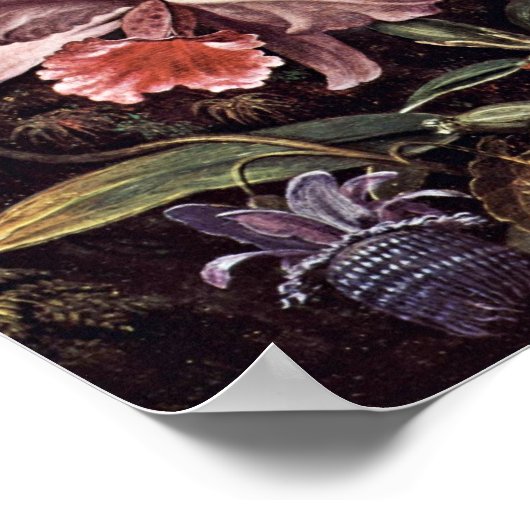 Orchideeën Passion Flowers en Hummingbird by Marti Poster (Hoek)