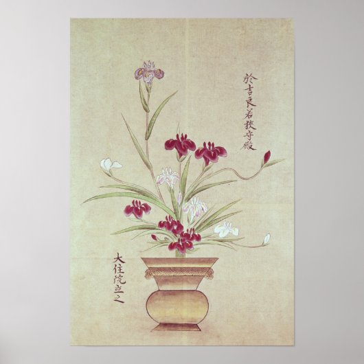 Orchideeën Poster (Voorkant)