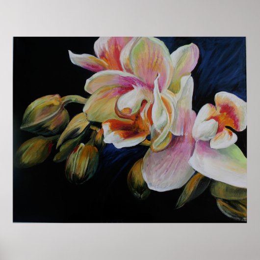 Orchideeën Poster (Voorkant)