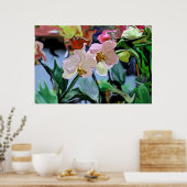 Orchideeën Poster (Keuken)