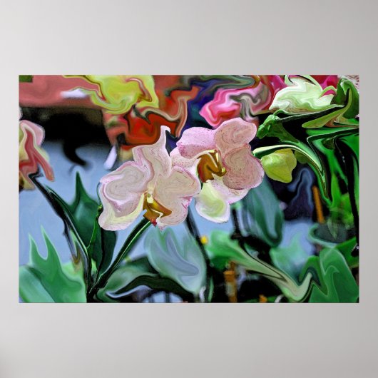 Orchideeën Poster (Voorkant)