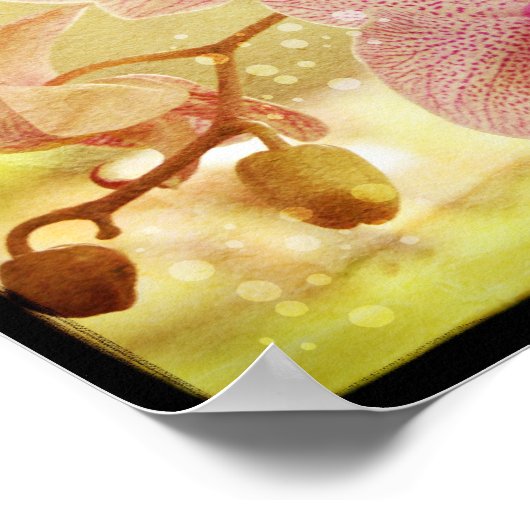 Orchideeën Poster (Hoek)