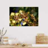 Orchideeën poster (Keuken)