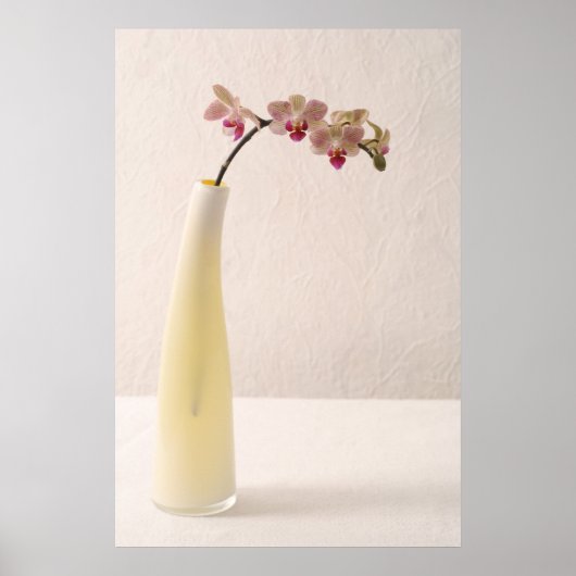 Orchideeën Poster (Voorkant)