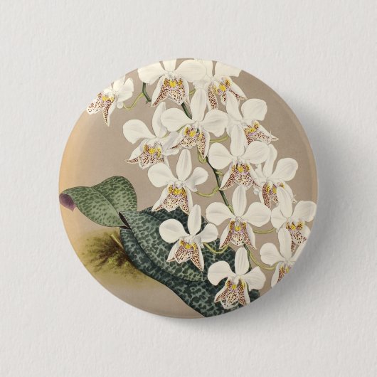 Orchideeën Ronde Button 5,7 Cm (Voorkant)
