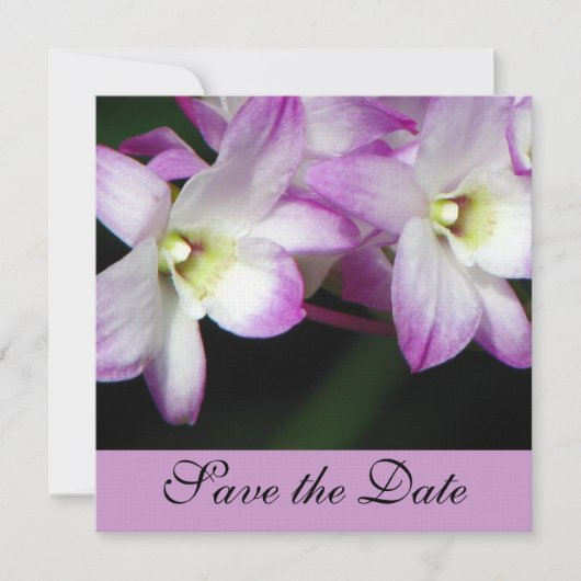 Orchideeën Save the Date Uitnodiging (Voorkant)
