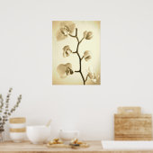 Orchideeën {Sepia} | POSTER (Keuken)