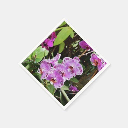 Orchideeën Servet (Hoek)