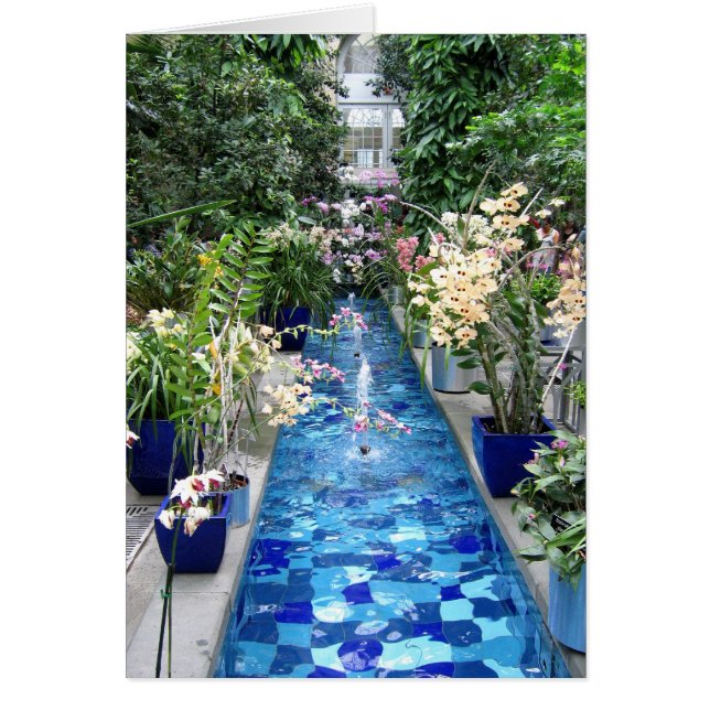 Orchideeën show (Voorkant)