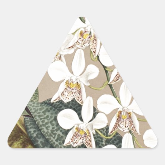 Orchideeën Sticker (Voorkant)